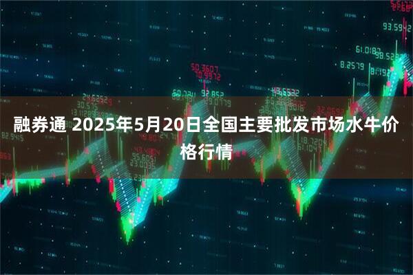 融券通 2025年5月20日全国主要批发市场水牛价格行情