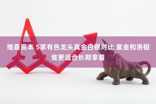 维嘉资本 5家有色龙头真金白银对比 紫金和洛钼谁更适合长期拿着