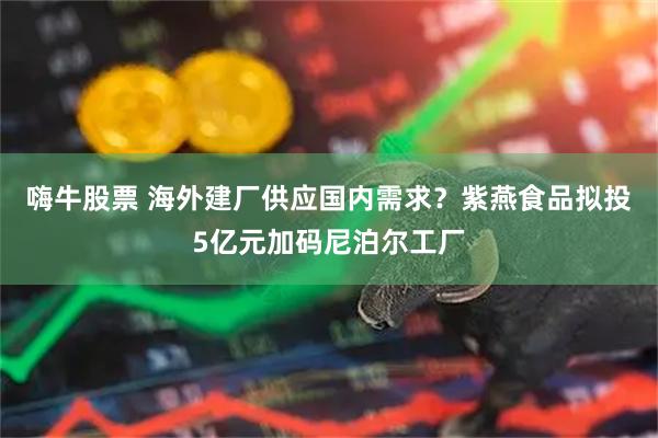 嗨牛股票 海外建厂供应国内需求？紫燕食品拟投5亿元加码尼泊尔工厂
